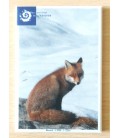Magnet aimanté rectangulaire "Marmotte"
