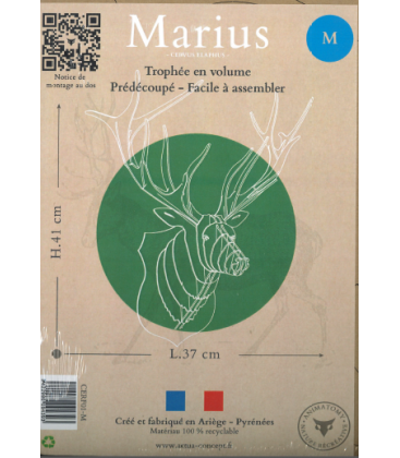 Marius le cerf - trophée en volume