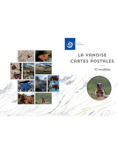 Cartes postales modèle 1