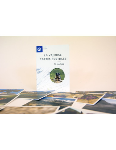 Cartes postales modèle 1