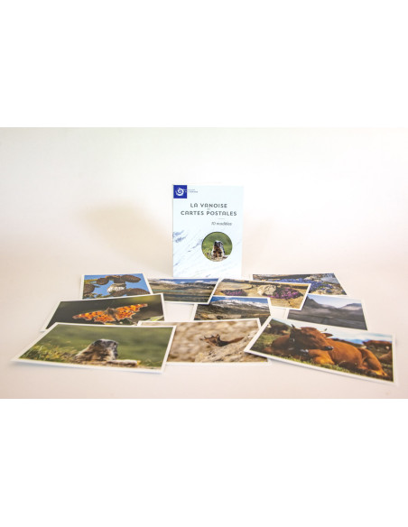 Cartes postales modèle 1