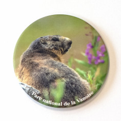 MAGNET ROND "MARMOTTE"