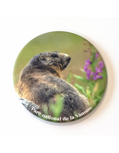 MAGNET ROND "MARMOTTE"