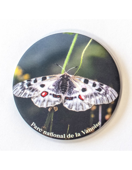 Magnet rond papillon - Apollon
