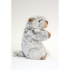 PELUCHE MARMOTTE GRISE 2
