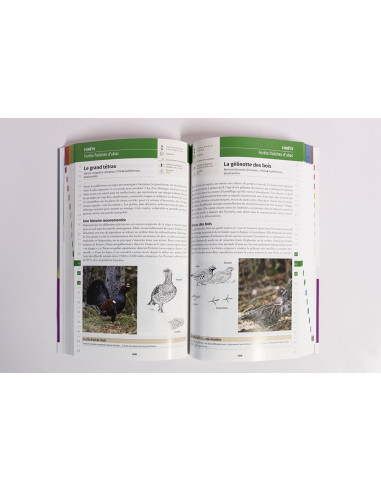 À la rencontre des animaux en montagne