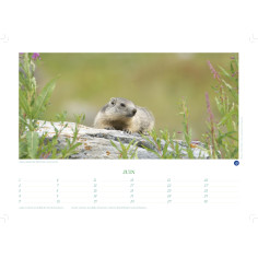 CALENDRIER PERPÉTUEL 2