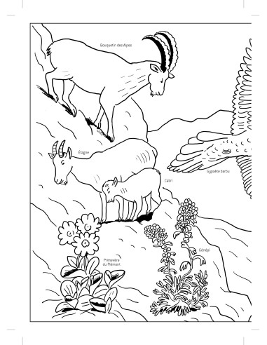 Carnet de coloriage du Parc national de la Vanoise
