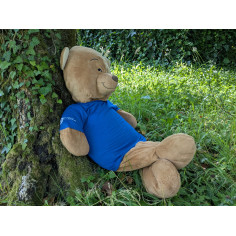 T-SHIRT COTON BIO ENFANT