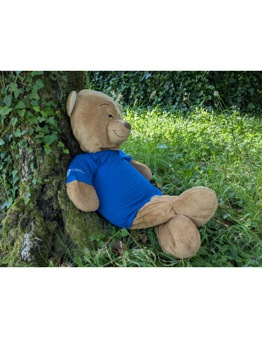 T-SHIRT COTON BIO ENFANT