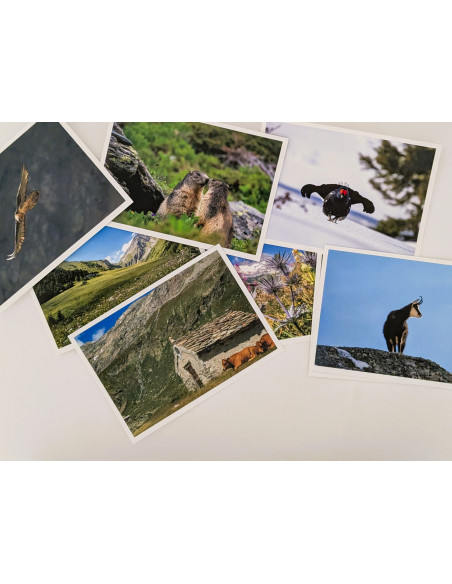 Cartes postales modèle 3