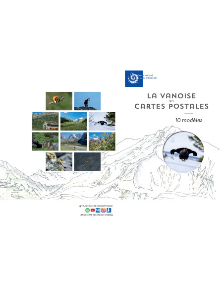 Cartes postales modèle 3