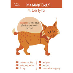 Jeu des 7 familles Montagne 2
