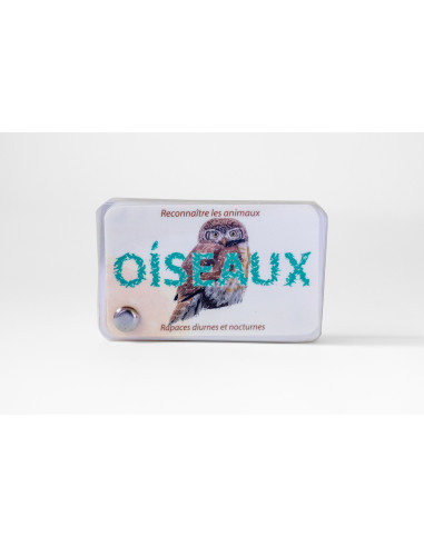 Carnet d'observation des oiseaux - rapaces