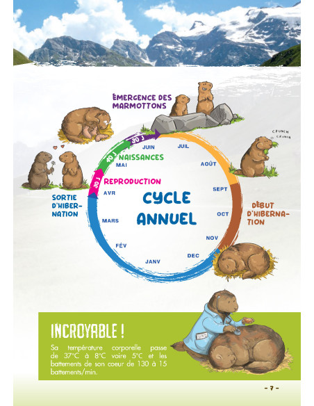 Livret La tribu des marmottes