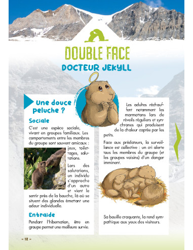 Livret La tribu des marmottes