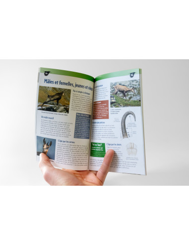 Carnet de la Huppe Chamois