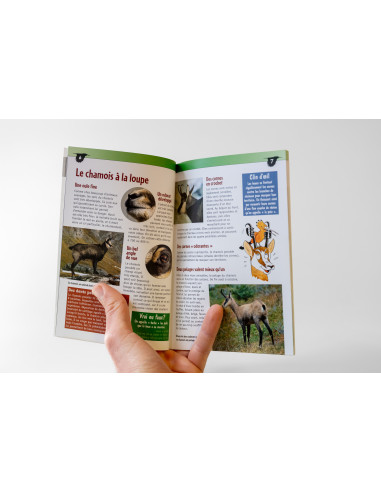 Carnet de la Huppe Chamois