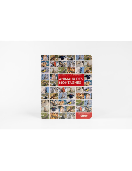 Animaux des montagnes