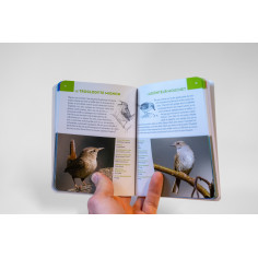 Oiseaux de France 2