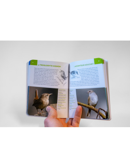 Oiseaux de France
