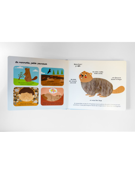 Livre Mes animaux des montagnes à toucher