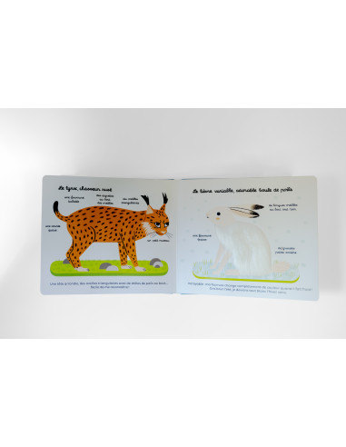 Livre Mes animaux des montagnes à toucher