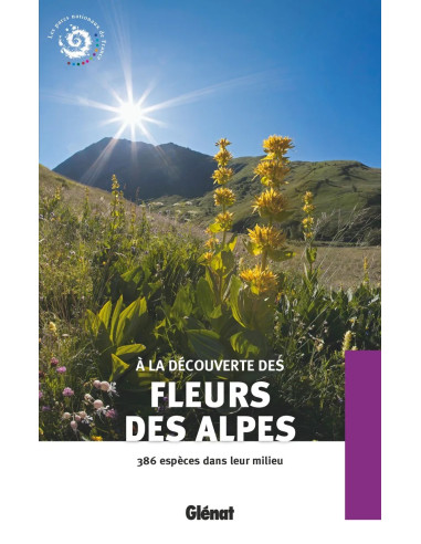 À la découverte des fleurs des Alpes
